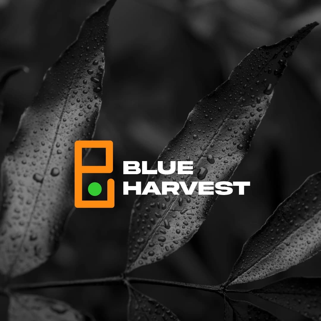 Blue Harvest Brand Identity